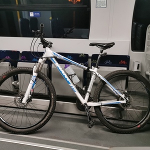 2015 Giant Talon 27.5 1 White, Blue, and Silver, gray or bare metal