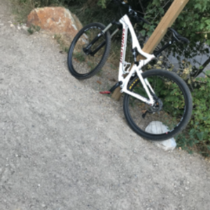 2017 Santa Cruz tall boy White