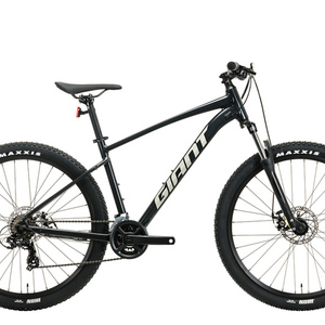 2021 Giant Talon 4 Silver, gray or bare metal