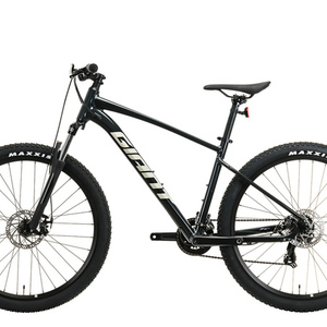 2021 Giant Talon 4 Silver, gray or bare metal