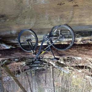 2016 Specialized Camber Black