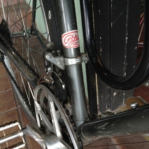 Schwinn World Silver or Gray