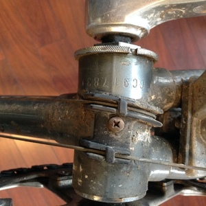 Schwinn World Silver or Gray