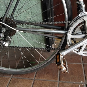 Schwinn World Silver or Gray