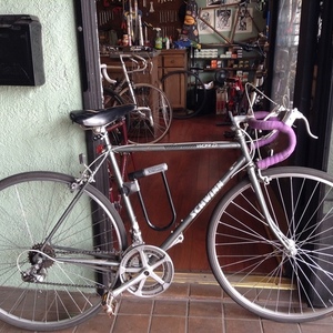 Schwinn World Silver or Gray