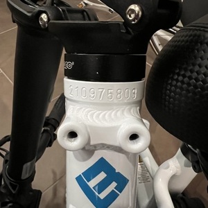 2021 Lectric eBikes Step-Thru 2.0 White