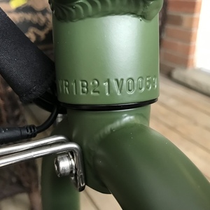 2022 Rad Power Bikes Rad Runner Green