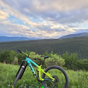 2022 Trek Trek Green