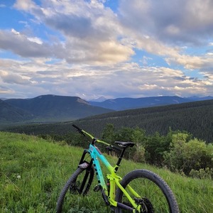 2022 Trek Trek Green