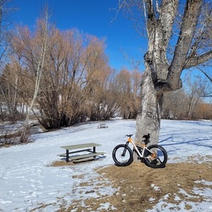 Moose Fat bike Orange