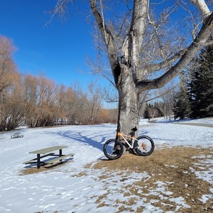 Moose Fat bike Orange