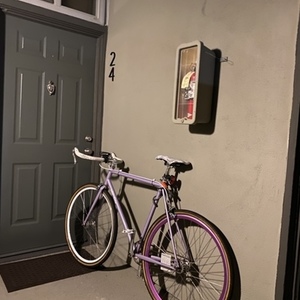 2014 All City Big Block Purple