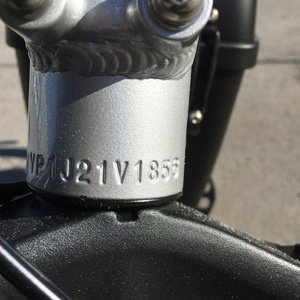 2021 Rad Power Bikes Rad Runner Plus 2.0 Silver, gray or bare metal