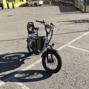 2021 Rad Power Bikes Rad Runner Plus 2.0 Silver, gray or bare metal