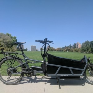 2019 Riese und Müller Load 75 Silver, gray or bare metal