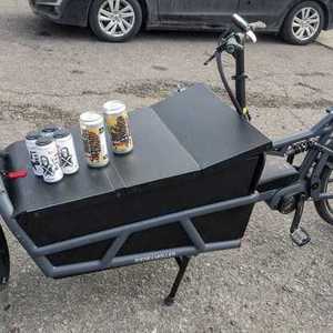 2019 Riese und Müller Load 75 Silver, gray or bare metal