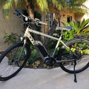 2020 Trek Verve+2 Mens US M SL Silver, gray or bare metal