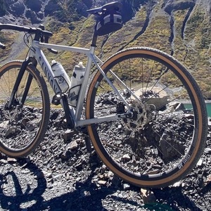 2021 Canyon bicycles GRAIL 6 Silver, gray or bare metal