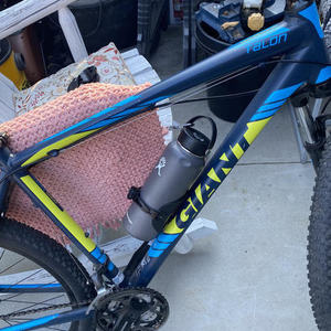 2016 Giant Talon Blue and Green