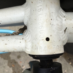 Jamis Earth Cruiser 1 Step-Thru White and Blue