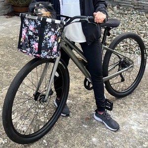 2021 Cannondale 27.5 U Treadwell 2 Remixte Ltd Silver, gray or bare metal