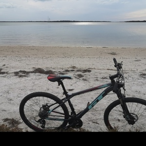 GT Bicycles Gt womens Laguna pro Mountain bike Silver, gray or bare metal