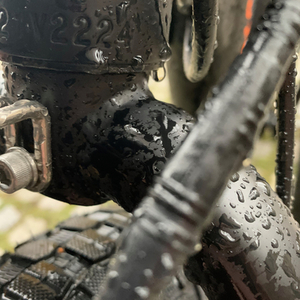 2021 Rad Power Bikes Black