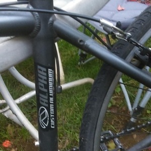 Trek 3200 Silver, gray or bare metal