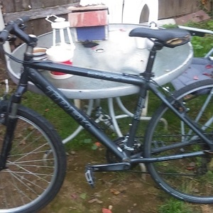 Trek 3200 Silver, gray or bare metal