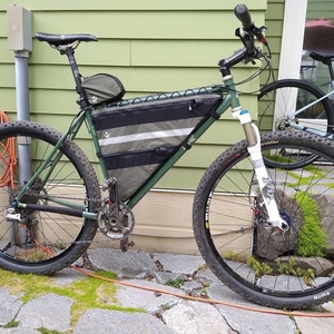 2010 Raleigh XXIX Pro Green