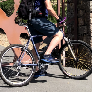 1995 Specialized Stumpjumper M2 Blue