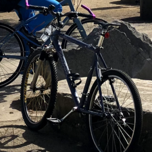 1995 Specialized Stumpjumper M2 Blue