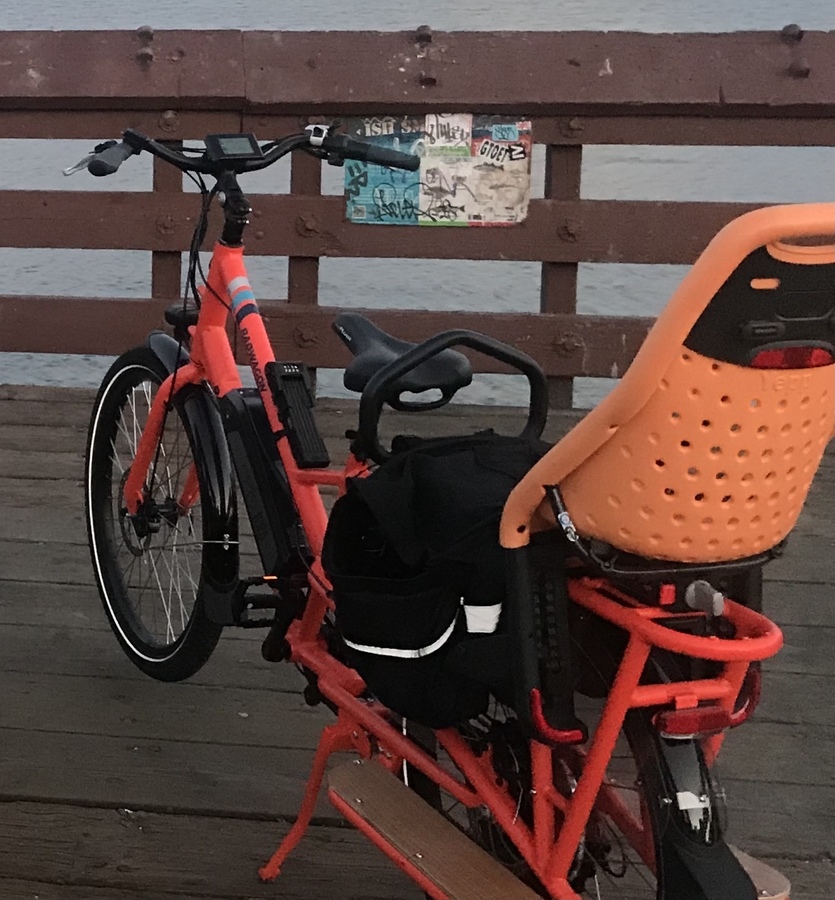 Cargo Bike Rear photo