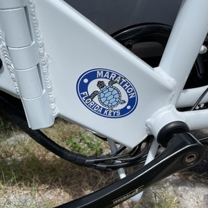 2021 Lectric eBikes 2.0 Step-thru White