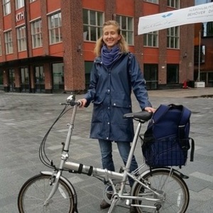Dahon Folding bike Silver, gray or bare metal