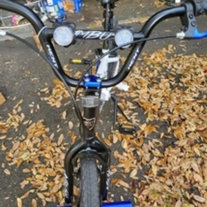 Kent Ambush White and Blue