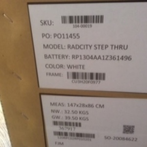 2021 Rad Power Bikes Radcity White