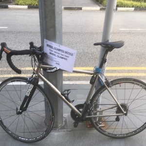 Lynskey R140 Silver, gray or bare metal