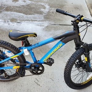 2022 Diamondback Snake 20 Blue, Black, and Yellow or Gold