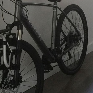 2019 Trek Alpha Gold Aluminum Black