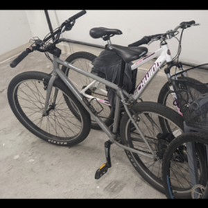 2021 Fairdale Flyer Silver, gray or bare metal