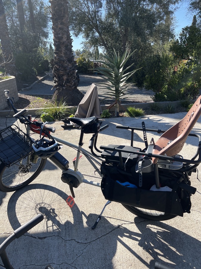 2019 Surly Big Easy cargo bike (rear storage)