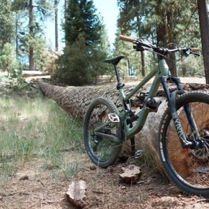 2021 Santa Cruz Bronson Green