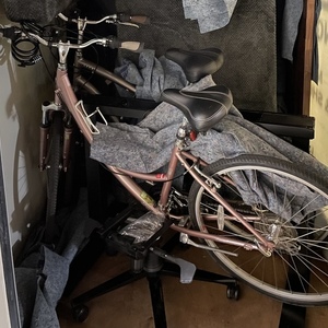 2016 Specialized Camel Globe Pink