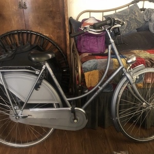 Batavus Old Dutch Silver, gray or bare metal