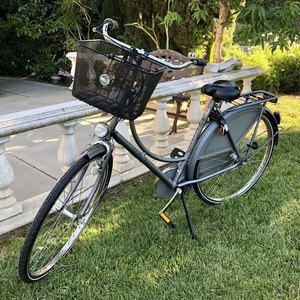 Batavus Old Dutch Silver, gray or bare metal