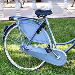 Batavus Old Dutch Silver, gray or bare metal