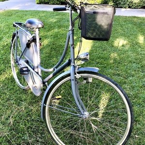 Batavus Old Dutch Silver, gray or bare metal