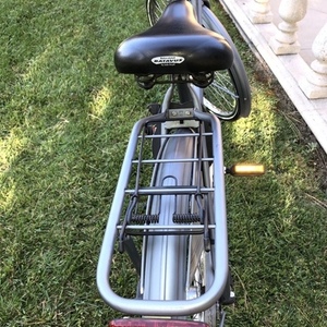 Batavus Old Dutch Silver, gray or bare metal