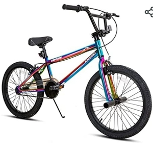 2021 Walmart Multi colored Purple